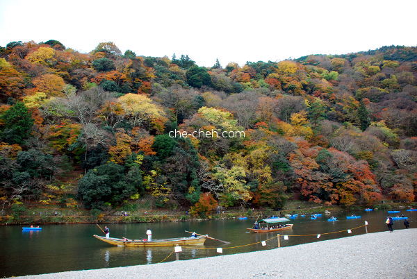 Autumn In Arashiyama & Hozu River @ Kyoto